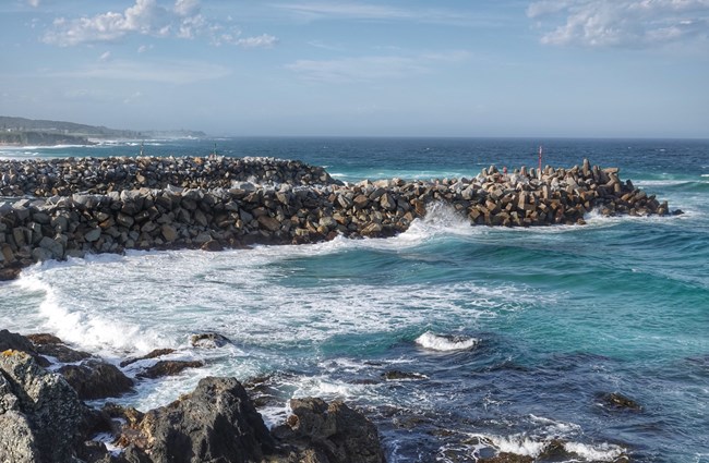 shutterstock_1421132984