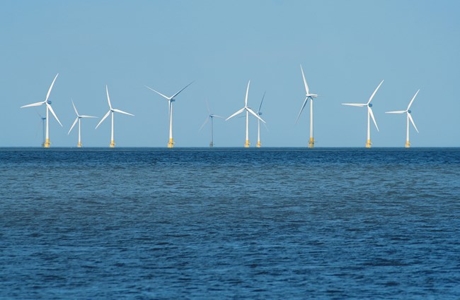 Offshore wind farm horizon