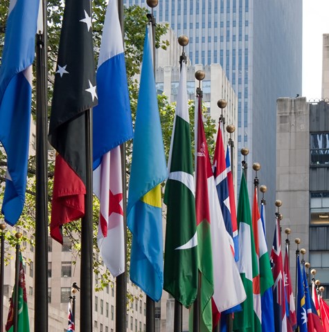 A row of national flags flying in a street