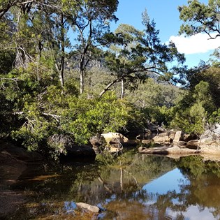 Aquatic ecosystem sampling and analysis