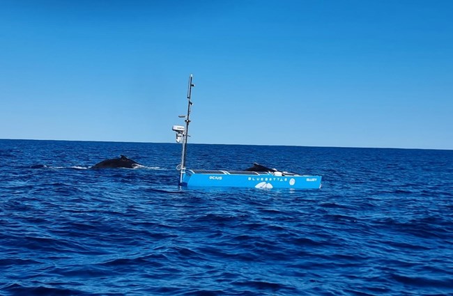 ocius-image-media-july-2024