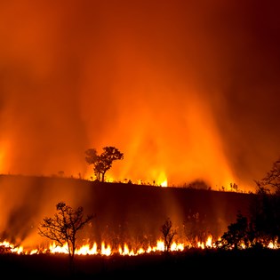 BMT climate risk and resilience services