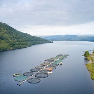 Aquaculture farm