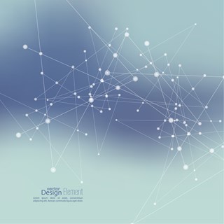 Global surveyor network