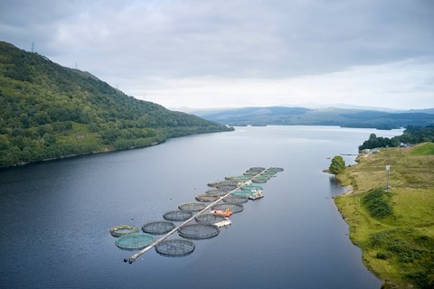 Aquaculture farm